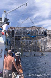 The SharkDiver.com crew, aboard the long range San Diego vessel Ocean Odyssey, lifts a custom-made aluminum shark cage from the shark-filled waters of Isla Guadalupe, far offshore of the Pacific Coast of Baja California.  Guadalupe Island is host to a concentration of large great white sharks, which visit the island to feed on pinnipeds and tuna, Carcharodon carcharias, Guadalupe Island (Isla Guadalupe)