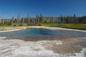 Green Spring, Black Sand Basin, Yellowstone National Park, Wyoming