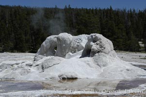 Sinter cone of oddly-shaped Grotto Geyser, thought to be formed over ancient tree stumps, Upper Geyser Basin, Yellowstone National Park, Wyoming