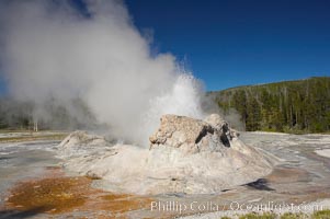 Grotto Geyser erupts.  Upper Geyser Basin, Yellowstone National Park, Wyoming