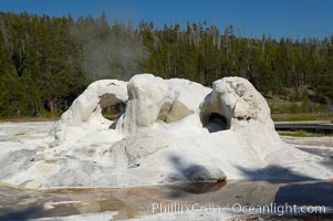 Grotto Geyser sinter formation, a result of sinter covering old tree stumps, is unique among geothermal features in Yellowstone National Park, Upper Geyser Basin