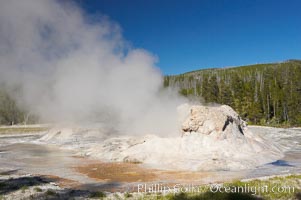 Grotto Geyser steams.  Upper Geyser Basin, Yellowstone National Park, Wyoming