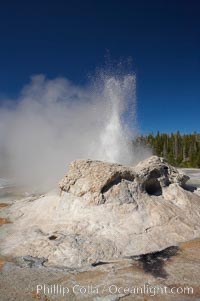 Grotto Geyser erupts.  Upper Geyser Basin, Yellowstone National Park, Wyoming