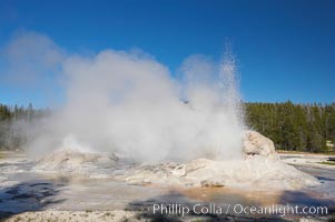 Grotto Geyser (right) and Rocket Geyser (left) erupt.  Upper Geyser Basin, Yellowstone National Park, Wyoming