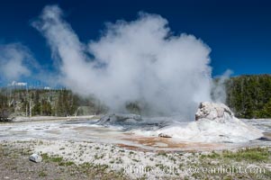 Grotto Geyser, Yellowstone National Park, Upper Geyser Basin