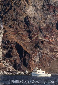 Guadalupe Island near Pilot Rock, Mexico, Guadalupe Island (Isla Guadalupe)