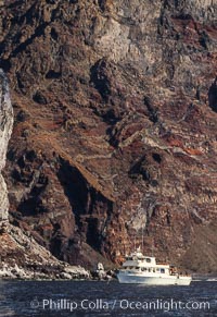 Guadalupe Island near Pilot Rock, Mexico, Guadalupe Island (Isla Guadalupe)