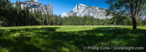 Half Dome (center) and Washington Column (left), late afternoon in spring, viewed from Ahwahnee Meadow, Half Dome, copyright Phillip Colla Natural History Photography, www.oceanlight.com, image #07152, all rights reserved worldwide.