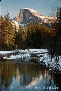 Half Dome and Merced River, winter, Half Dome, copyright Phillip Colla Natural History Photography, www.oceanlight.com, image #02332, all rights reserved worldwide.