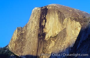 Half Dome, late afternoon, Half Dome, copyright Phillip Colla Natural History Photography, www.oceanlight.com, image #07119, all rights reserved worldwide.
