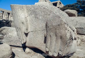 Hands of Ozymandias, Ramesseum, Luxor, Egypt