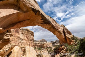 Hickman Bridge, Capitol Reef National Park