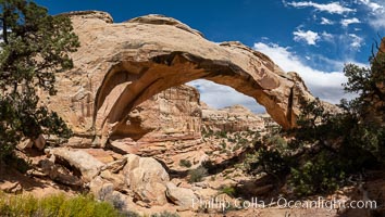 Hickman Bridge, Capitol Reef National Park