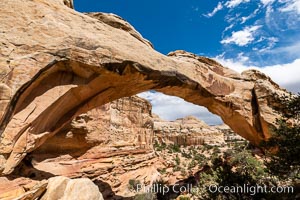 Hickman Bridge, Capitol Reef National Park