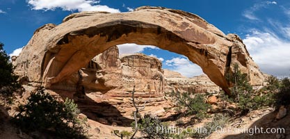 Hickman Bridge, Capitol Reef National Park