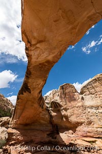 Hickman Bridge, Capitol Reef National Park