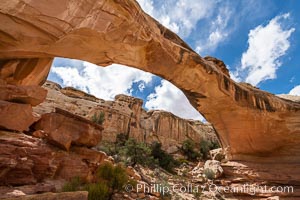 Hickman Bridge, Capitol Reef National Park. A natural bridge formed by water eroding it from below, Hickman Bridge is one of the most spectacular and easily accessible natural bridges in the United States