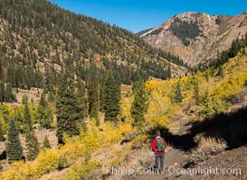 Hiker and aspen trees, Mineral King, California, Sequoia National Park