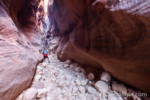 Hiker in Buckskin Gulch.  A hiker considers the towering walls and narrow passageway of Buckskin Gulch, a dramatic slot canyon forged by centuries of erosion through sandstone.  Buckskin Gulch is the worlds longest accessible slot canyon, running from the Paria River toward the Colorado River.  Flash flooding is a serious danger in the narrows where there is no escape, Paria Canyon-Vermilion Cliffs Wilderness, Arizona