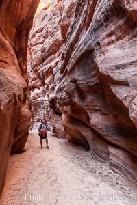 Hiker in Buckskin Gulch.  A hiker considers the towering walls and narrow passageway of Buckskin Gulch, a dramatic slot canyon forged by centuries of erosion through sandstone.  Buckskin Gulch is the worlds longest accessible slot canyon, running from the Paria River toward the Colorado River.  Flash flooding is a serious danger in the narrows where there is no escape.