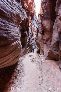 Hiker in Buckskin Gulch.  A hiker considers the towering walls and narrow passageway of Buckskin Gulch, a dramatic slot canyon forged by centuries of erosion through sandstone.  Buckskin Gulch is the worlds longest accessible slot canyon, running from the Paria River toward the Colorado River.  Flash flooding is a serious danger in the narrows where there is no escape, Paria Canyon-Vermilion Cliffs Wilderness, Arizona