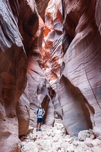 Hiker in Buckskin Gulch.  A hiker considers the towering walls and narrow passageway of Buckskin Gulch, a dramatic slot canyon forged by centuries of erosion through sandstone.  Buckskin Gulch is the worlds longest accessible slot canyon, running from the Paria River toward the Colorado River.  Flash flooding is a serious danger in the narrows where there is no escape.