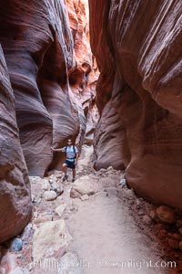 Hiker in Buckskin Gulch.  A hiker considers the towering walls and narrow passageway of Buckskin Gulch, a dramatic slot canyon forged by centuries of erosion through sandstone.  Buckskin Gulch is the worlds longest accessible slot canyon, running from the Paria River toward the Colorado River.  Flash flooding is a serious danger in the narrows where there is no escape, Paria Canyon-Vermilion Cliffs Wilderness, Arizona