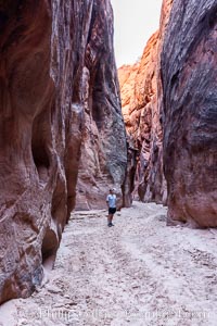 Hiker in Buckskin Gulch.  A hiker considers the towering walls and narrow passageway of Buckskin Gulch, a dramatic slot canyon forged by centuries of erosion through sandstone.  Buckskin Gulch is the worlds longest accessible slot canyon, running from the Paria River toward the Colorado River.  Flash flooding is a serious danger in the narrows where there is no escape, Paria Canyon-Vermilion Cliffs Wilderness, Arizona