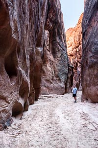 Hiker in Buckskin Gulch.  A hiker considers the towering walls and narrow passageway of Buckskin Gulch, a dramatic slot canyon forged by centuries of erosion through sandstone.  Buckskin Gulch is the worlds longest accessible slot canyon, running from the Paria River toward the Colorado River.  Flash flooding is a serious danger in the narrows where there is no escape, Paria Canyon-Vermilion Cliffs Wilderness, Arizona