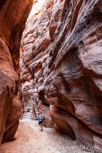 Hiker in Buckskin Gulch.  A hiker considers the towering walls and narrow passageway of Buckskin Gulch, a dramatic slot canyon forged by centuries of erosion through sandstone.  Buckskin Gulch is the worlds longest accessible slot canyon, running from the Paria River toward the Colorado River.  Flash flooding is a serious danger in the narrows where there is no escape, Paria Canyon-Vermilion Cliffs Wilderness, Arizona