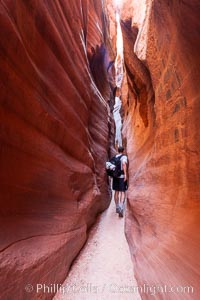 A hiker walking through the Wire Pass narrows.  This exceedingly narrow slot canyon, in some places only two feet wide, is formed by water erosion which cuts slots deep into the surrounding sandstone plateau, Paria Canyon-Vermilion Cliffs Wilderness, Arizona