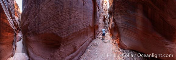 A hiker considers the Wire Pass narrows.  This exceeding narrow slot canyons, in some places only two feet wide, was formed by water erosion which cuts slots deep into the surrounding sandstone plateau.  This is a panorama created from eleven individual photographs, Paria Canyon-Vermilion Cliffs Wilderness, Arizona
