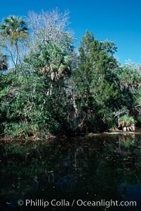 Homosassa River