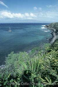 Honolua Bay, West Maui