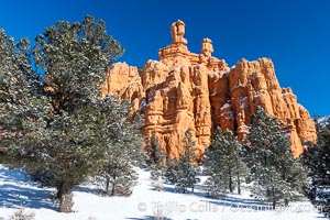 Hoodoos, walls and sandstone spires, Red Canyon, Dixie National Forest, Utah