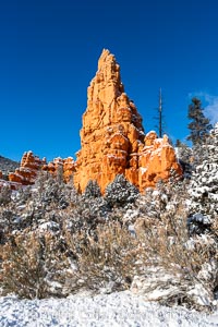 Hoodoos, walls and sandstone spires, Red Canyon, Dixie National Forest, Utah