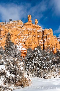 Hoodoos, walls and sandstone spires, Red Canyon, Dixie National Forest, Utah