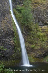 Horsetail Falls drops 176 feet just a few yards off the Columbia Gorge Scenic Highway, Columbia River Gorge National Scenic Area, Oregon