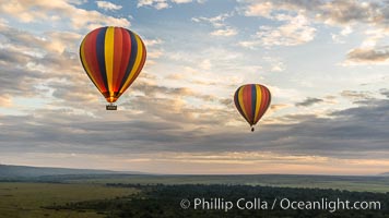 Hot Air Ballooning over Maasai Mara plains, Kenya, Maasai Mara National Reserve