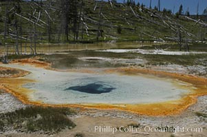 Unidentified hot spring, Upper Geyser Basin, Yellowstone National Park, Wyoming