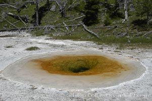 Unidentified hot spring, Upper Geyser Basin, Yellowstone National Park, Wyoming