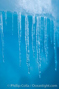 Icicles and melting ice, hanging from the edge of an blue iceberg.  Is this the result of climate change and global warming?