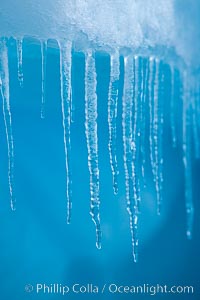 Icicles and melting ice, hanging from the edge of an blue iceberg.  Is this the result of climate change and global warming?, Brown Bluff