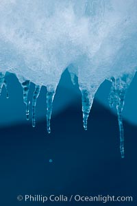 Icicles and melting ice, hanging from the edge of an blue iceberg.  Is this the result of climate change and global warming?, Brown Bluff