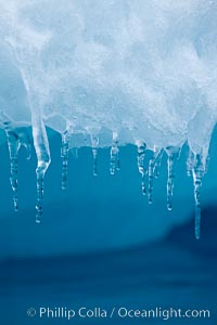 Icicles and melting ice, hanging from the edge of an blue iceberg.  Is this the result of climate change and global warming?, Brown Bluff