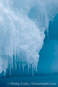 Icicles and melting ice, hanging from the edge of an blue iceberg.  Is this the result of climate change and global warming?, Brown Bluff