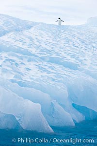 Iceberg detail. Paulet Island, Antarctic Peninsula, Antarctica, natural history stock photograph, photo id 24901