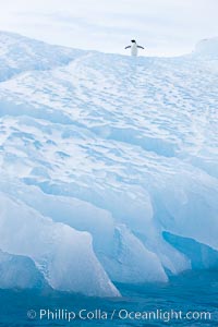 Iceberg detail, Paulet Island