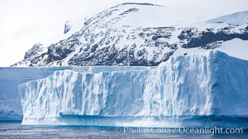 Iceberg and snow-covered coastline, Antarctic Sound.