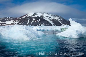 Icebergs floating in the ocean near Paulet Island.